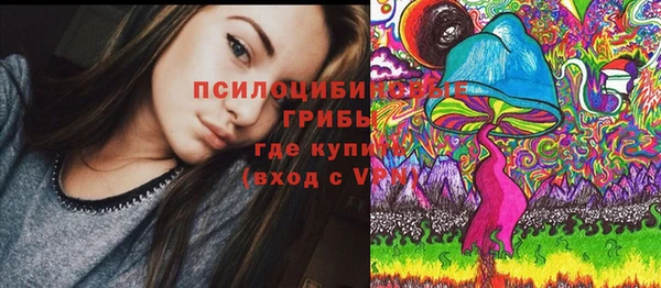 ешки Карпинск