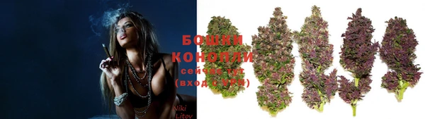 ешки Карпинск