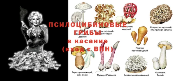 ешки Карпинск